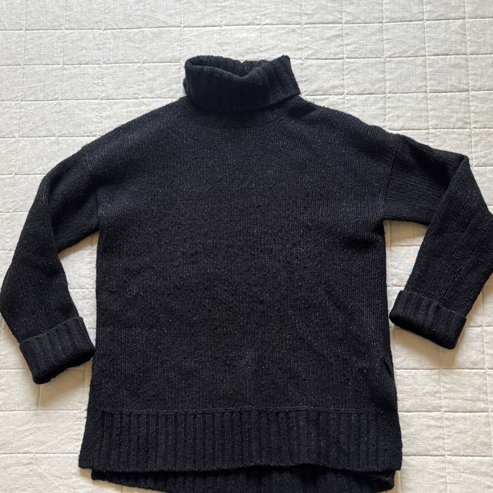 Everlane Black Turtleneck Sweater